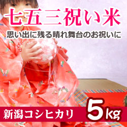 新潟米コシヒカリ 5キロ