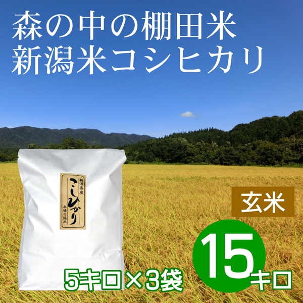 玄米 15キロ