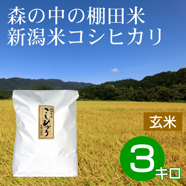 玄米 3キロ