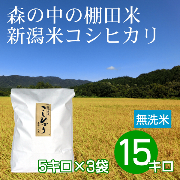 無洗米 15キロ