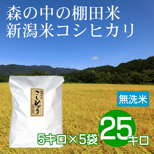 無洗米 25キロ