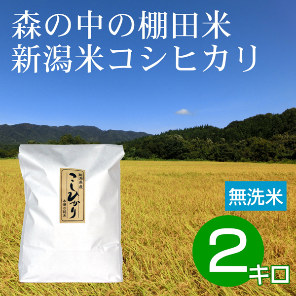 無洗米 2キロ