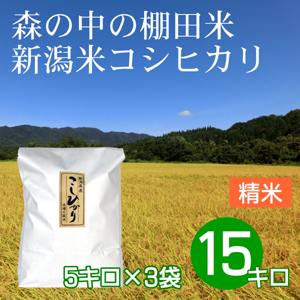 白米（精米） 15キロ