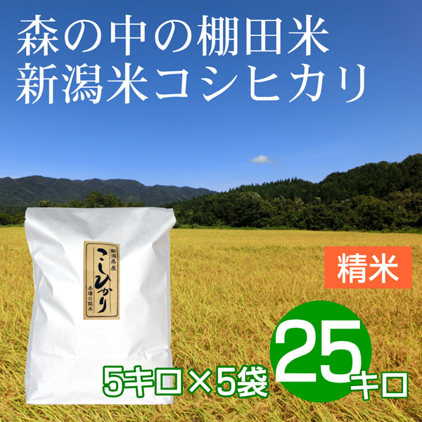 白米（精米） 25キロ