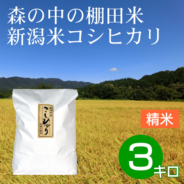 白米（精米） 3キロ